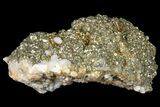 Pyrite On Calcite - El Hammam Mine, Morocco #80735-2